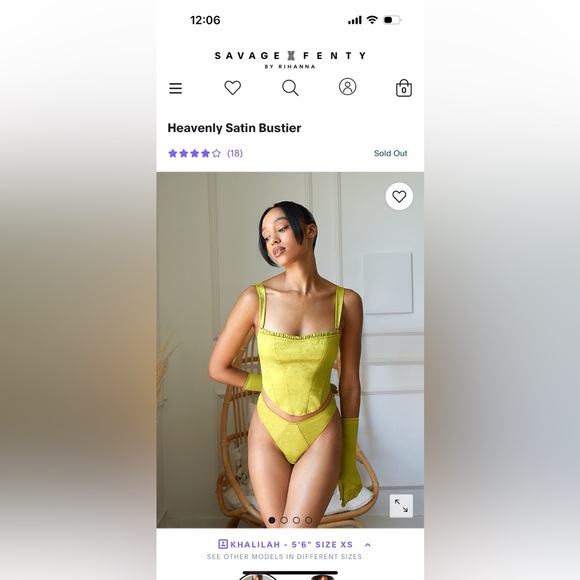 Savage X Fenty Other - Savage Fenty heavenly satin bustier size large worn once